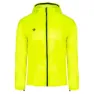 Yellow fluor 2