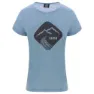 Coronet blue