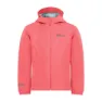 Sunset coral
