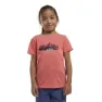 Print sunset coral