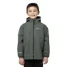 Slate green / black