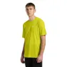 Chartreuse