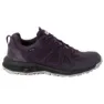 Purple / phantom