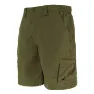 Green olive