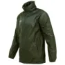 Olive green
