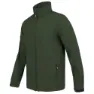 Olive green 2