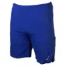 Royal blue / navy
