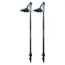 Joluvi Nordic Carbon Pro 2 Stöcke, Black / blue, 85-135cm