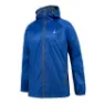 Royal blue 1