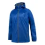 Royal blue 2