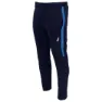 Navy / royal blue 2