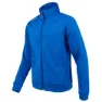 Royal blue 1