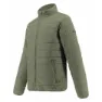 Olive green 1