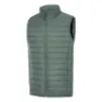 Petrol green