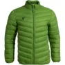 Green 3