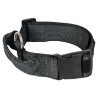 Julius K-9 Collar 40 Mm Hundehalsband Julius K-9 Collar 40 Mm Hundehalsband