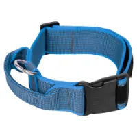 Julius K-9 Collar 40 Mm Hundehalsband Julius K-9 Collar 40 Mm Hundehalsband