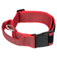 Julius K-9 Collar 40 Mm Hundehalsband Julius K-9 Collar 40 Mm Hundehalsband
