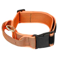 Julius K-9 Collar 40 Mm Hundehalsband Julius K-9 Collar 40 Mm Hundehalsband