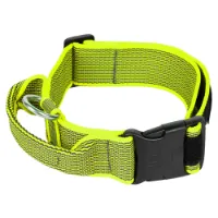 Julius K-9 Collar 50 Mm Hundehalsband Julius K-9 Collar 50 Mm Hundehalsband