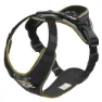 Black / gray 1