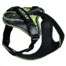 Neon / gray 1