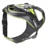 Neon / gray 2
