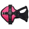 Julius K-9 Longwalk Light Hundegeschirr