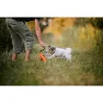 Julius K-9 Multifunktionsmotivator, Orange, 14mm x 5m