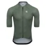 Olive 1