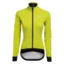 Lime 2