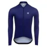 Indigo purple