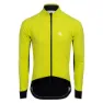 Lime 1
