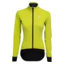 Lime 2