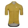 Gold yellow 1