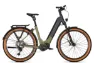 Kalkhoff ENTICE 5+ ADVANCE LTD urbangrangreen / diamondblack matt 29" 625 Wh Wave