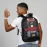 Karactermania Harry Potter Express Fan Hs 2.2 Rucksack, Multicolor