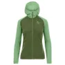 Arcadian / cedar green