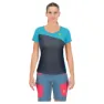 Ombre blue / bachelor botton