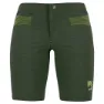 Rifle green / cedar green 2