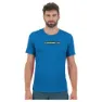 Indigo bunting / high visibility