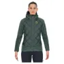 Jungle green / duck green