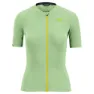 Arcadian / cedar green