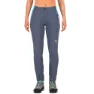 Ombre blue / bachelor botton