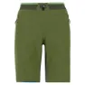 Cedar green / rifle green