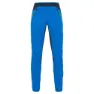 Indigo bunting / outer space / high visibility