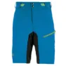 Indigo bunting / black / green fluo