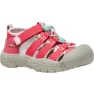 Raspberry / pink