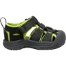 Black / lime green