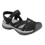 Black / neutral gray